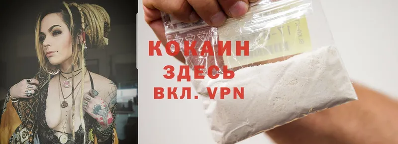 купить наркоту  мега ССЫЛКА  Cocaine FishScale  Качканар 